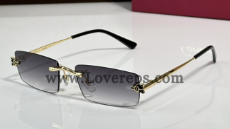 621428579 Sunglasses CT0598S